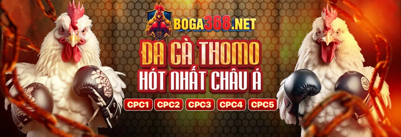 Phương thức thanh toán an toàn tại HH88 Link Mới 2026